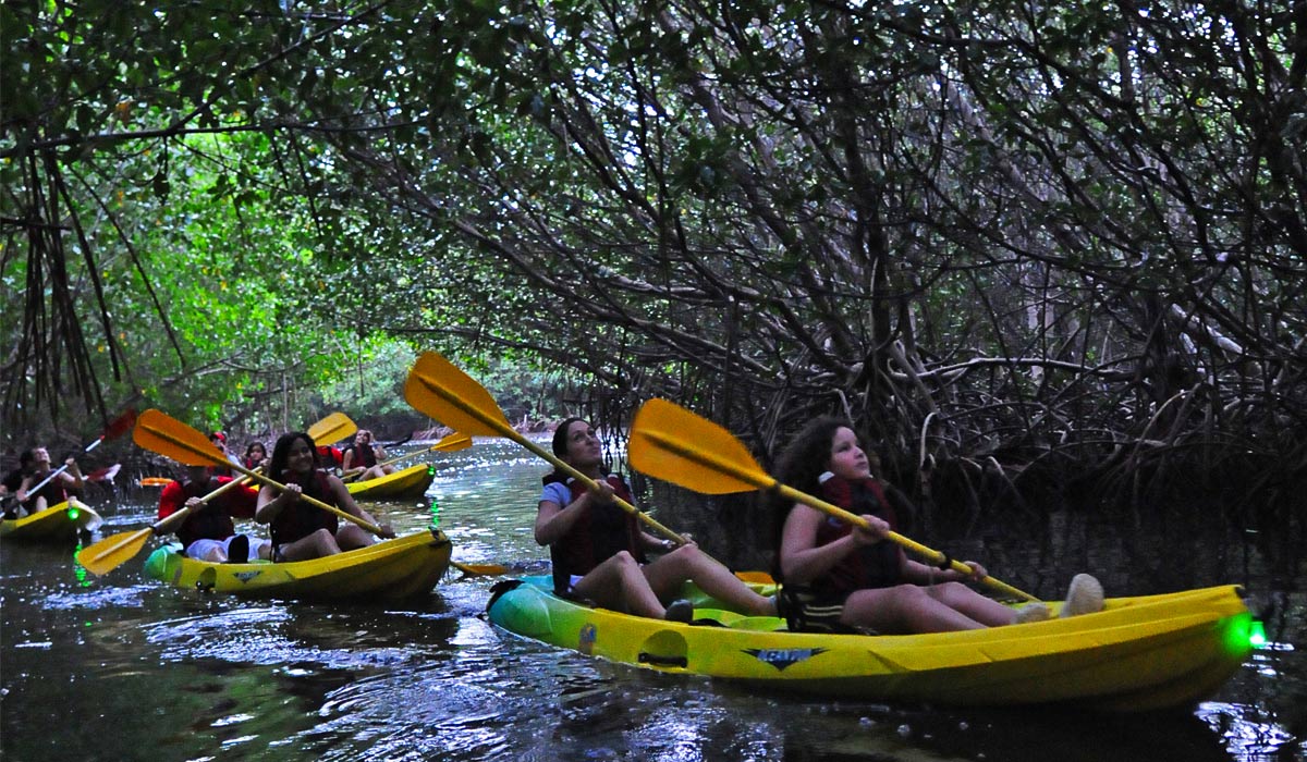 bio bay bioluminescent kayaking tour in fajardo pr