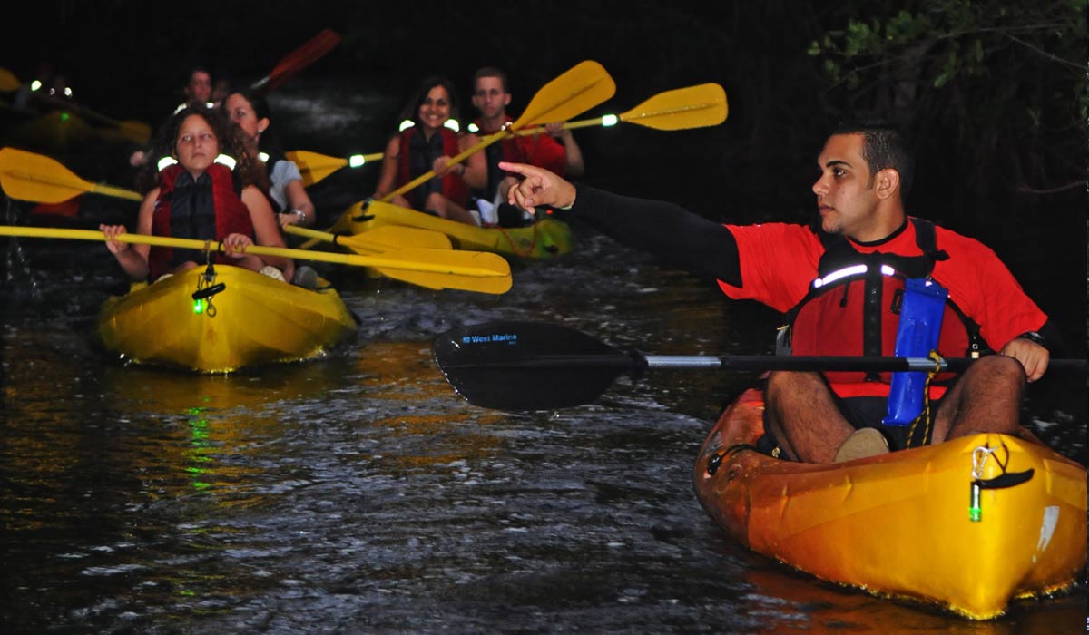 best bio bay kayak tour fajardo