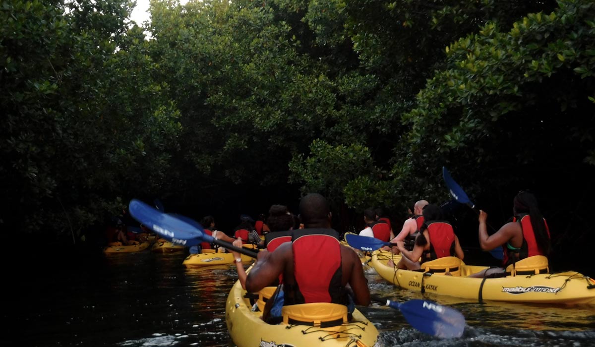 bioluminescent bay kayak tour fajardo