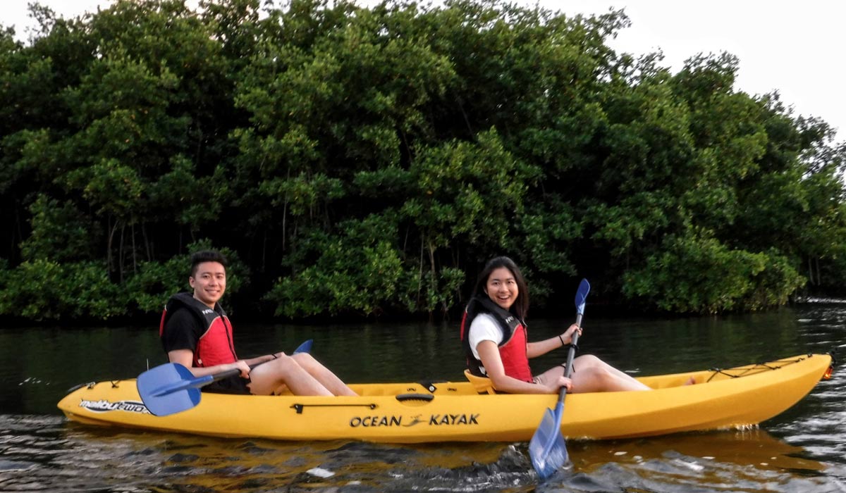 bio bay tour in fajardo