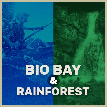 tour icons biobay rainforest