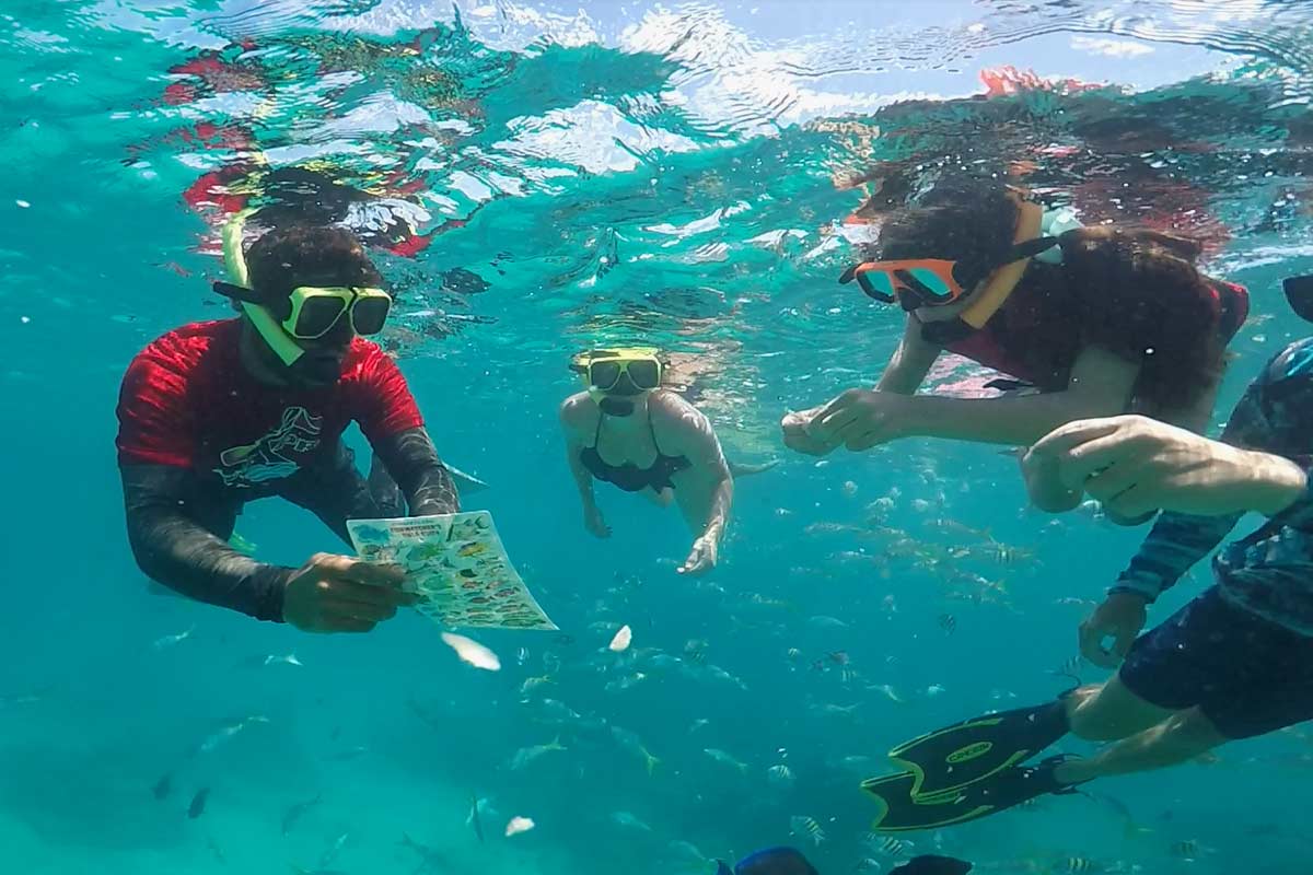 snorkeling guide teaches group about marine life