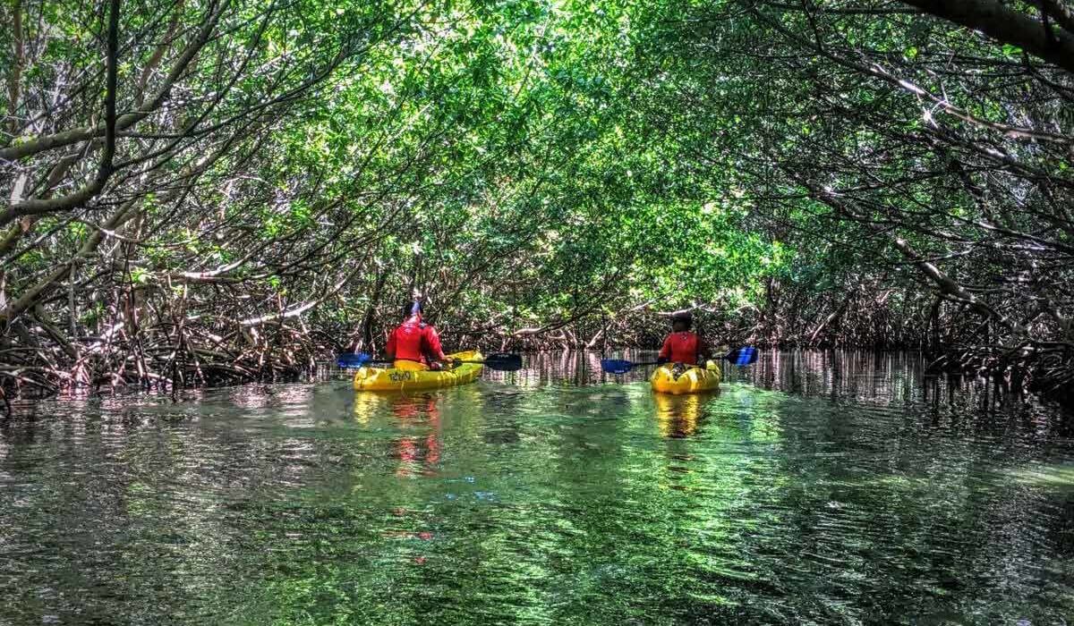 Fajardo Bioluminescent Kayaking Puerto Rico Tour Bio Bay 4146