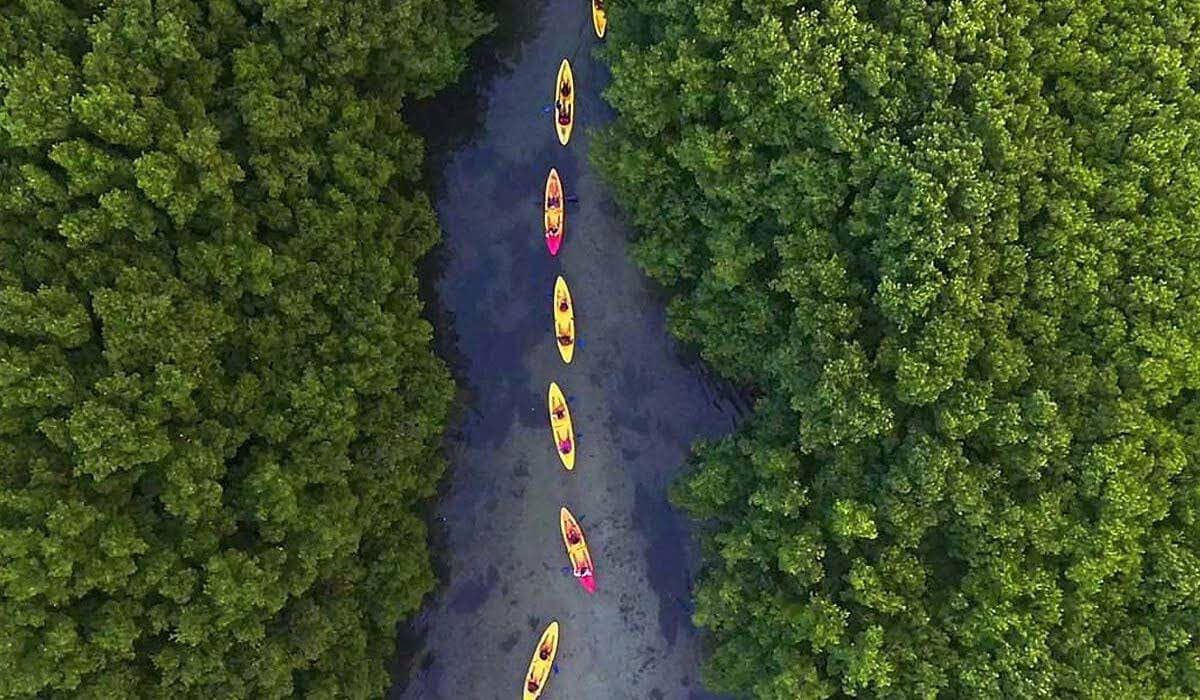 Kayak-by-kayak