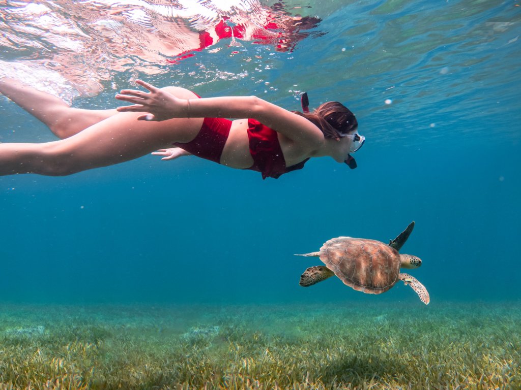 Snorkeling in Puerto Rico