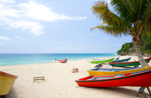 Snorkel and Beach Safari